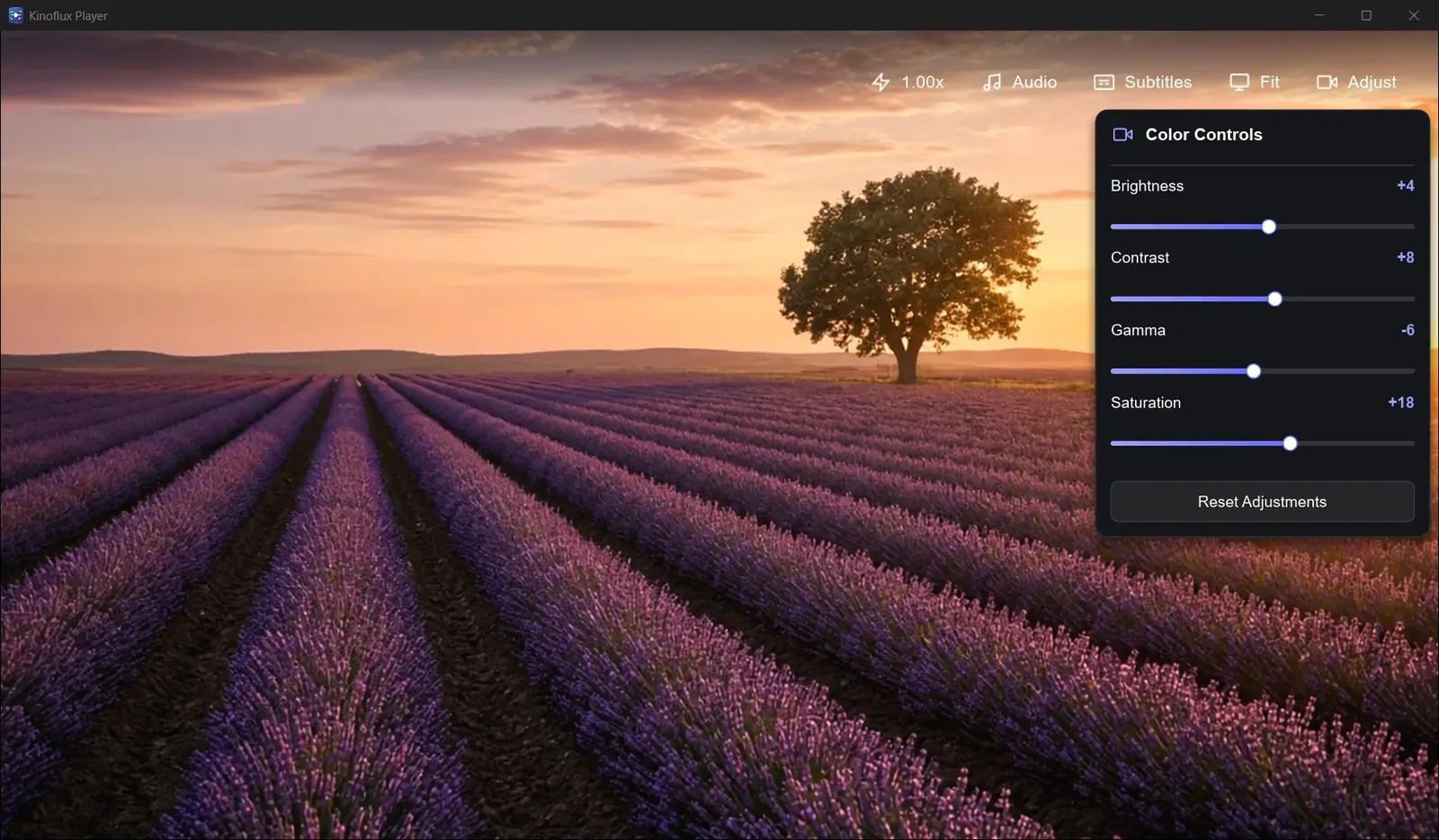 The Color Controls panel with brightness, contrast, gamma and saturation sliders and a reset button.